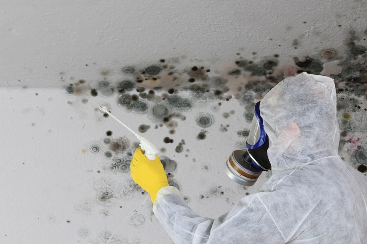 gear-mold-remediation